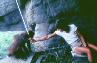 San Diego Zoo Primate Exhibit