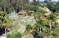 San Diego Zoo Flight Cage