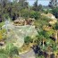 SD Zoo Flight Cage